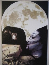 Embrace the Shadow, collage by Licia Berry, 2009 IMG 1613 187x250 Embrace the Shadow