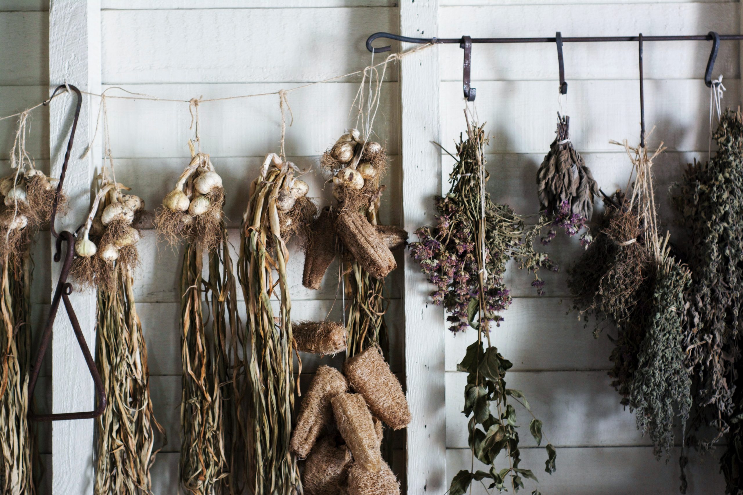 Dried Herbs